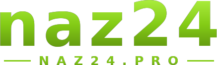 naz24 โลโก้